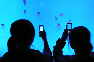 带领学生外出活动学习-上海